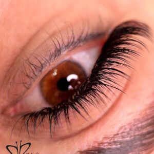 اکستنشن مگاوالیوم